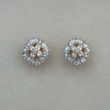 Diamond Dusk Studs - Suramya